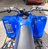 Yamaha Raptor 350 - QUAD 350