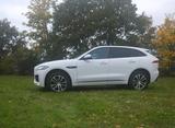 Jaguar F-Pace 25t AWD R-Sport Automatik R-Sport - Jaguar F-Pace von privat