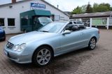 Mercedes-Benz CLK 500 V8 Cabrio Aut Leder Navi Memory SHZ H/K - Mercedes-Benz CLK 500 aus 2004