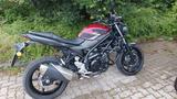 Suzuki SV 650 - Service NEU - SUZUKI 650 SV N