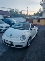 Volkswagen New Beetle 1.9 TDI 105CV Cabrio Lim.  - weiße Volkswagen New Beetle
