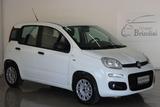 Fiat FIAT - Panda - 1.3 MJT 95 CV S&S Easy - Fiat Panda EASY mit Diesel-Antrieb
