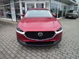Mazda CX-30 2.0L e-SKYACTIV X 186 6AT Exclusive-line - Mazda CX-30 in Dresden