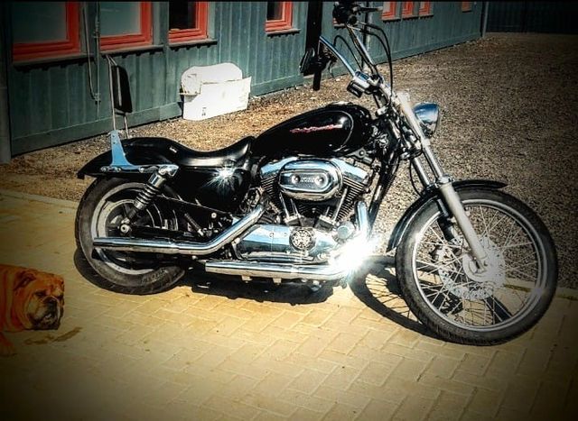 Harley-Davidson Sportster Custom XL1200C