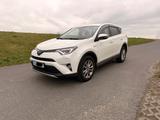 Toyota RAV 4 2,5-l-Hybrid Edition S+ Auto 4x2 Editi... - Toyota RAV 4 in Bonn