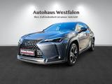 Lexus UX 250 h/Navi/Kamera/LED/1.Hand/Top - Lexus UX in Essen