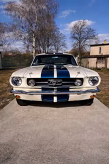 Ford Mustang Fastback 2+2 GT350 Shelby Tribute 5 Gang - Ford Mustang: Shelby Gt350