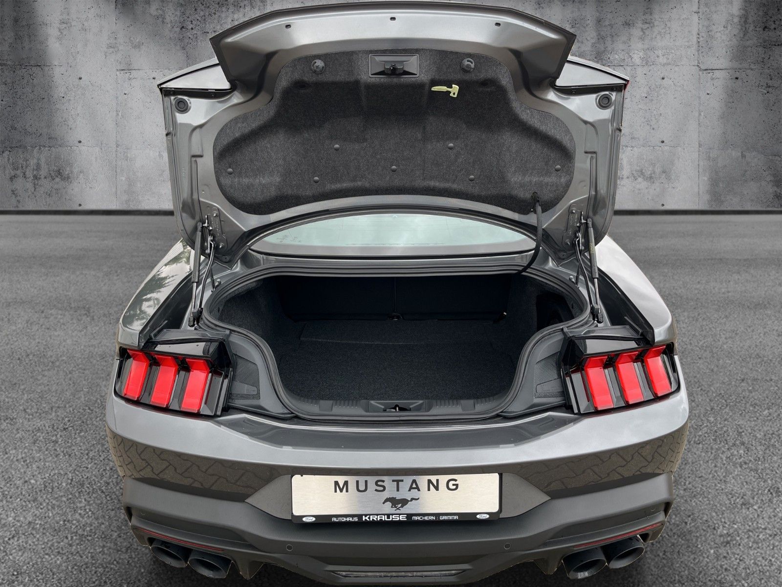 Fahrzeugabbildung Ford Mustang Fastback 5.0 Ti-VCT V8 334 Dark Horse