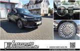 Honda e:Ny1 e:Ny1 - Honda e:Ny1 Neuwagen