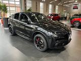 Alfa Romeo Stelvio Quadrifoglio QV 2.9l V6 Nero Vulcano - scheckheftgepflegte Alfa Romeo Stelvio