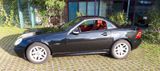 Mercedes-Benz SLK 200 KOMPRESSOR Final Edition Final Edition - Mercedes-Benz SLK 200: Final Edition
