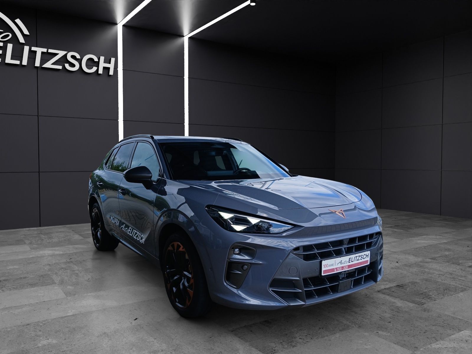 Fahrzeugabbildung CUPRA Terramar VZ 2.0TSI 4Drive Matrix Pano Akebono HU