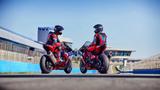 Honda CBR1000RR-R Fireblade - 6 Jahre Garantie - 14 - Offers