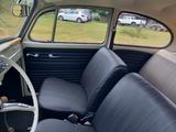 Volkswagen Käfer - gebrauchte VW Käfer aus dem Jahr 1965