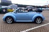 Volkswagen Beetle - VW Beetle Gebrauchtwagen in Berlin