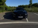 Ford Mustang 2.3 EcoBoost - Premium Paket - 19 Zoll - Ford Mustang Gebrauchtwagen in Köln