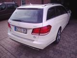 Mercedes-Benz  E 220 CDI T-Model