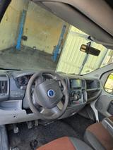 Fiat Ducato Transporter  Export geeignet ... - Fiat: Transporter