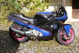 Honda cbr 600 pc 23 - HONDA CBR 600 PC23