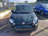 Fiat FIAT Pandina III 2024 Cross - Pandina Cross 1.0  - Jahreswagen bis 10.000 Euro