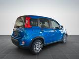 Fiat Pandina Cross Hybrid 1.0/PDC H/ - Fiat Panda Pandina mit Benzin-Antrieb