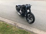 Harley-Davidson FLSTFI Fat Boy Softail Custombike Unikat 1 of 1 - HARLEY-DAVIDSON 2006 SOFTAIL