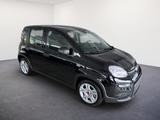 Fiat Panda 1.0 GSE /RADIO/KLIMA/PDC H/DAB - Fiat Panda Gebrauchtwagen