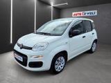 Fiat Panda 1.2 Pop Klimaanlage Bluetooth - Fiat: Pand