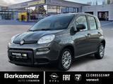 Fiat Panda 1.0l 70PS Hybrid *Höhenver. Fahrersitz* - gebrauchte Fiat Panda aus dem Jahr 2023