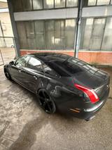 Jaguar XJ Supersport 5.0 V8 Kompressor Supersport - Jaguar XJ Gebrauchtwagen