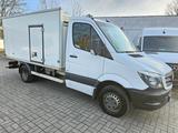 Mercedes-Benz Sprinter 516 cdi THERMO KING V300 MAX|2,2t NUTZL - Mercedes-Benz The