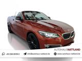 BMW 220 d Cabrio Luxury Line Autom. Leder RFK - BMW 220 in Dortmund