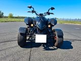 Access Motor Triton SP 400-SM - Black Lizard Edition - QUAD 400