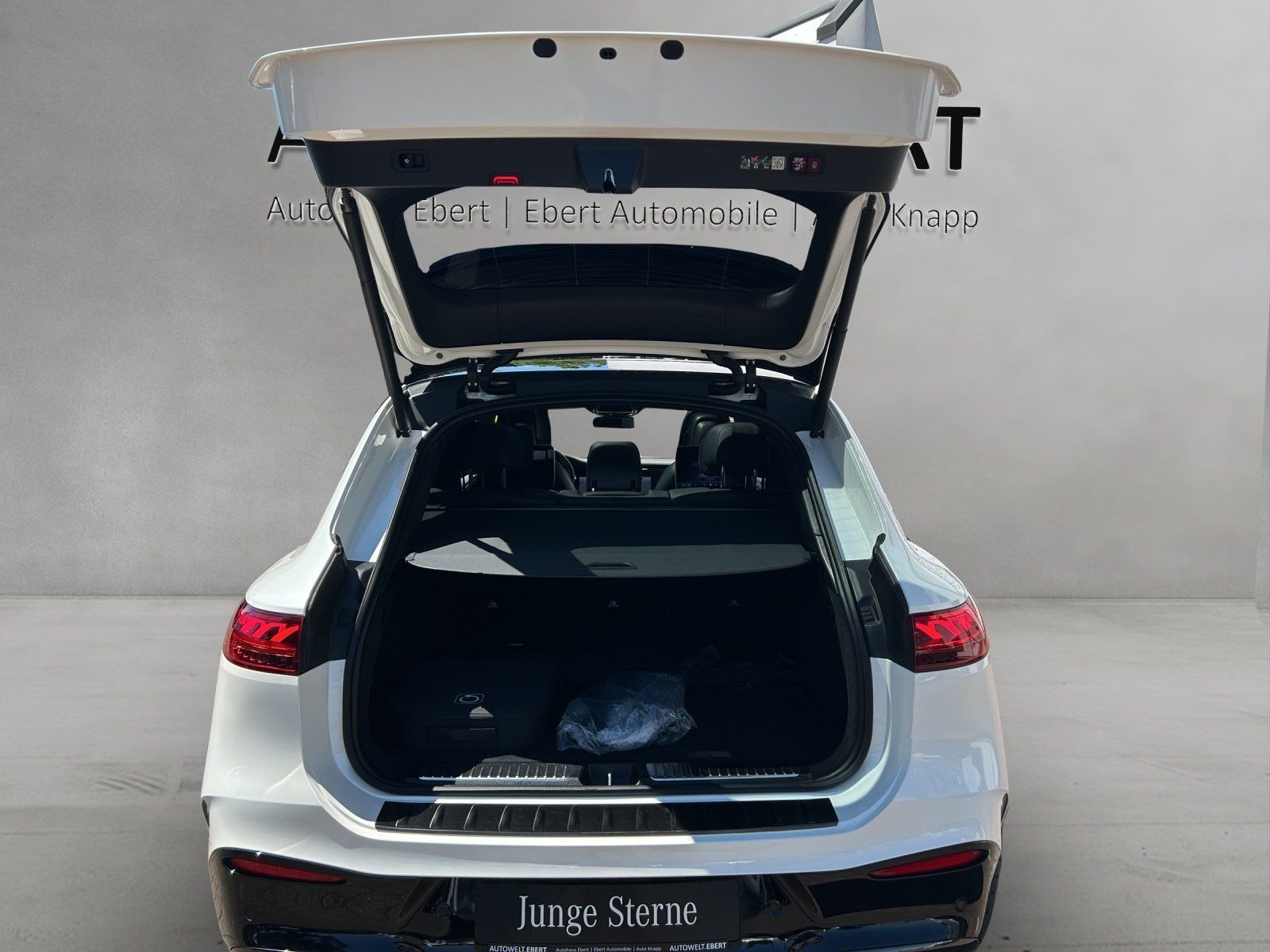 Fahrzeugabbildung Mercedes-Benz EQS 500 SUV AMG Distro PANO Burme Airmatic 360°