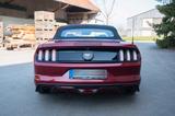 Ford Mustang Cabrio 2.3 EcoBoost - Ford Mustang: Ecoboost