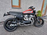 Harley-Davidson XR1200 - HARLEY-DAVIDSON XR