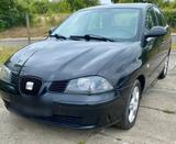 Seat Ibiza - gebrauchte Seat Cabrios