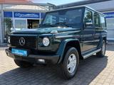 Mercedes-Benz G 270 Andraditgrün Standhzg. Vollleder NAVI AHK - Mercedes-Benz G-Class