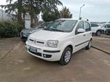 Fiat Panda 1.3 MJT 16V DPF Emotion - Fiat Panda Emotion mit Diesel-Antrieb