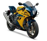 Suzuki GSX-R 1000R 40th Anniversary Edition - SUZUKI GSX R