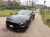 Ford GT Fastback Facelift *SHELBY COBRA Umbau*Mega V8 - Ford Mustang: Schwarz, Shelby