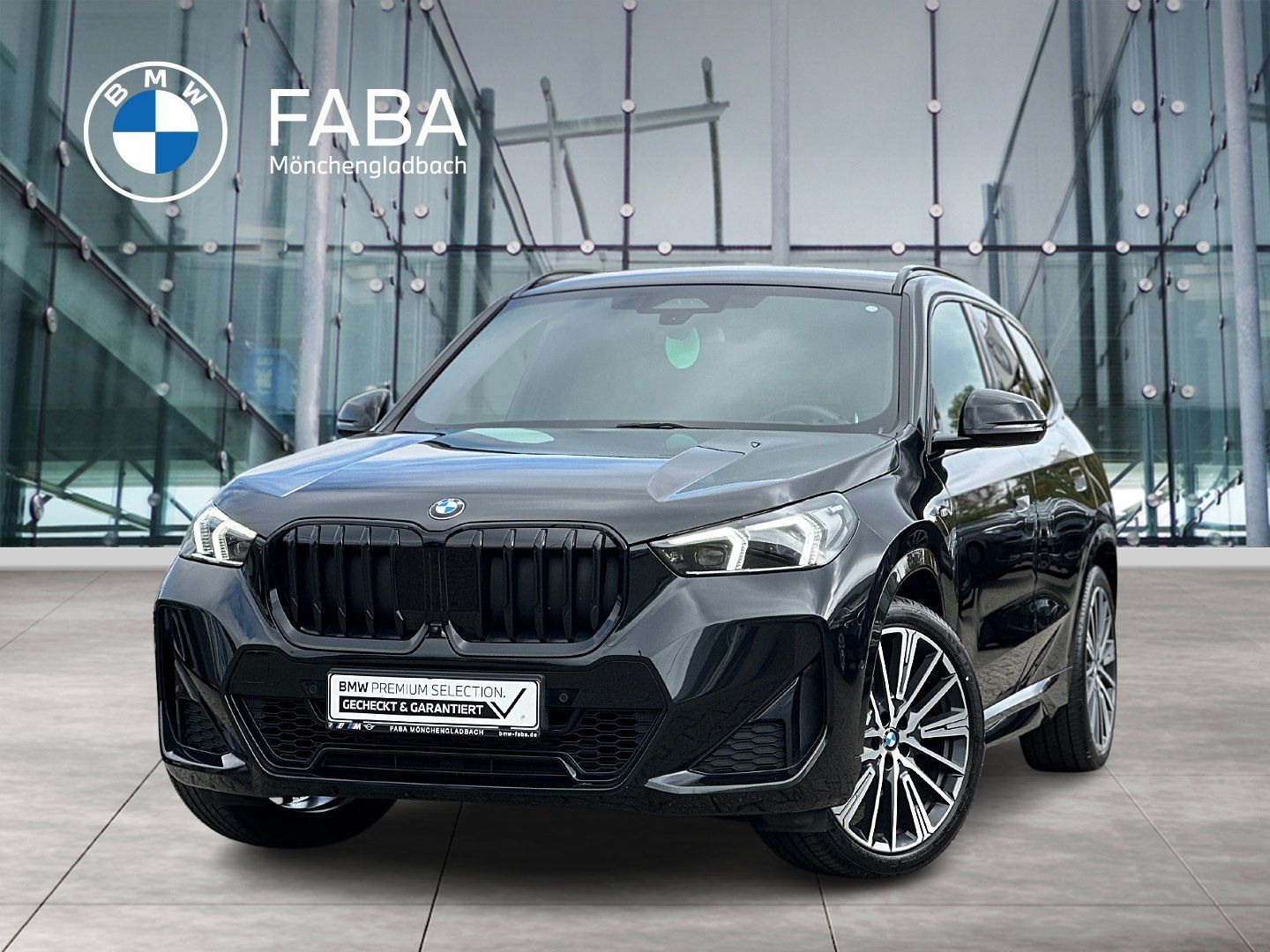 BMW X1 xDrive20d M Sportpaket Head-Up HK HiFi DAB
