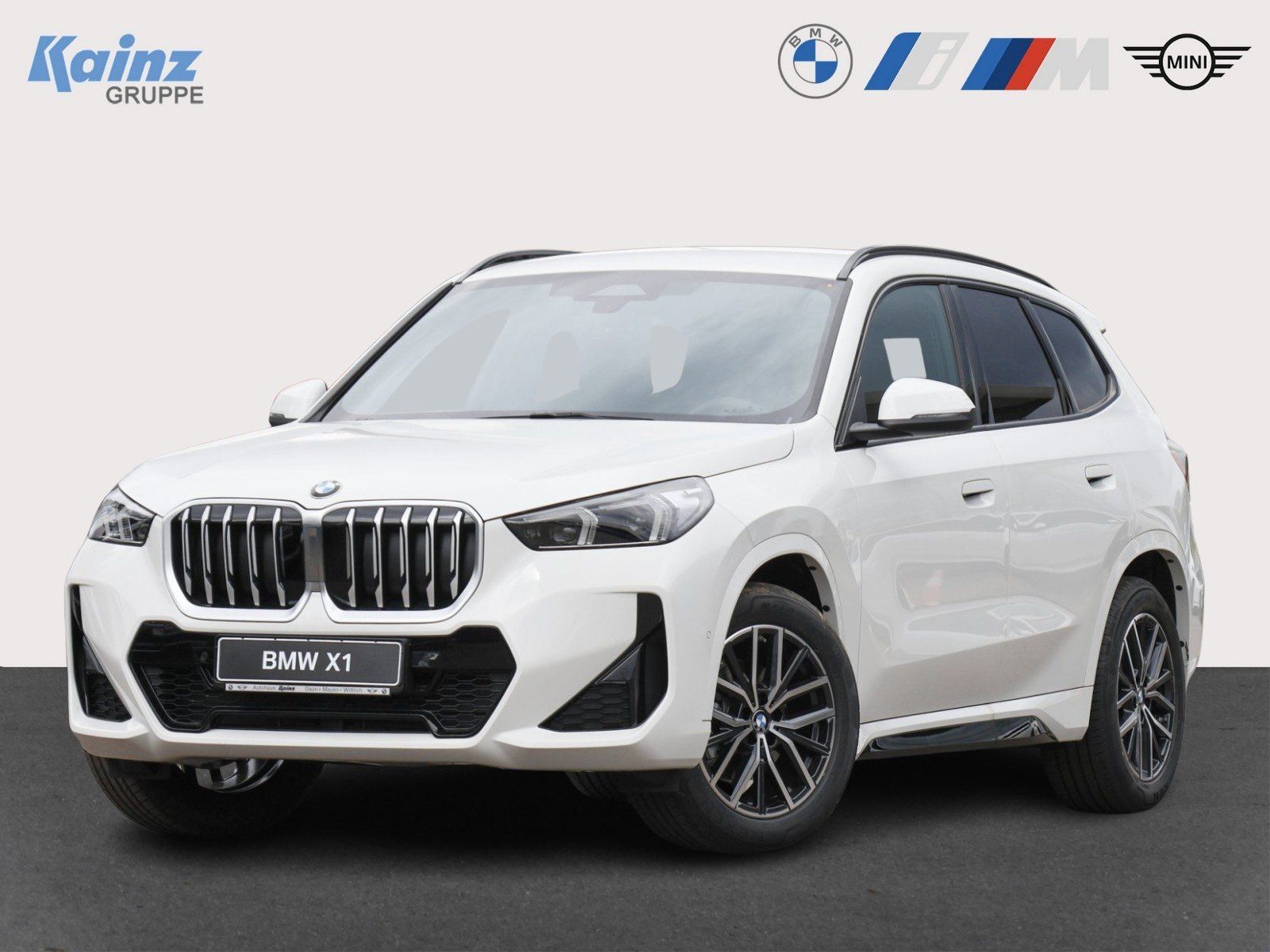 BMW X1 xDrive20d AHK/H&K/M Paket