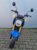 Honda MSX 125 Grom 2025 *TZ 03/26 *6 J. Garantie* - HONDA MSX