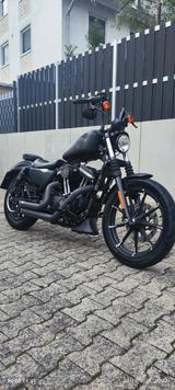 Harley-Davidson IRON 883  - HARLEY-DAVIDSON IRON 883