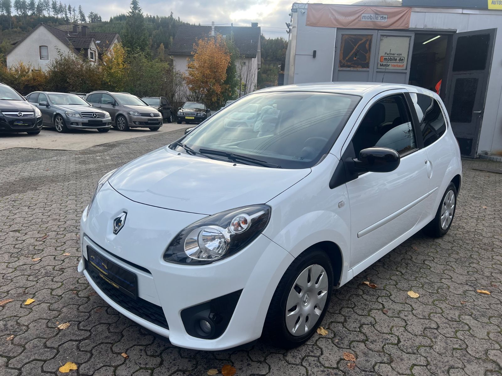 Fahrzeugabbildung Renault Twingo Rip Curl * 1.HAND *