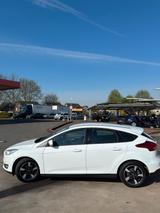 Ford Focus 1,0 EcoBoost 92kW Trend Trend - Ford Focus: Standheizung