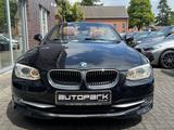 BMW 318i Cabrio 1.Hand Navi Xenon Leder Memory - BMW 318: 318i