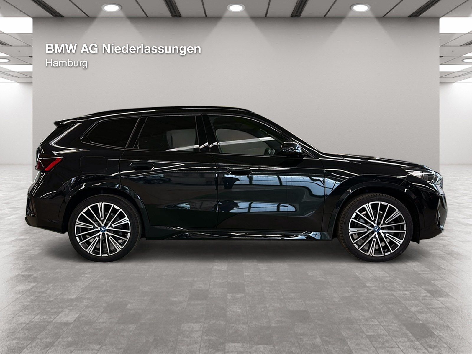 BMW iX1 xDrive30 M Sport Driv.Assist Harman K LED foto 4