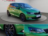 Skoda Fabia 1.2 TSI Joy *Pano*DAB*PDC* - Skoda: Grün
